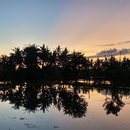 Villa Mon Reve Ubud  Bagian luar foto