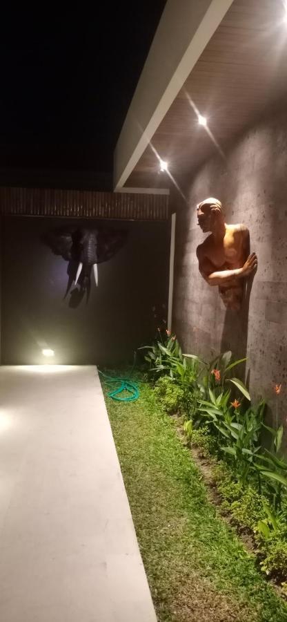 Villa Mon Reve Ubud  Bagian luar foto