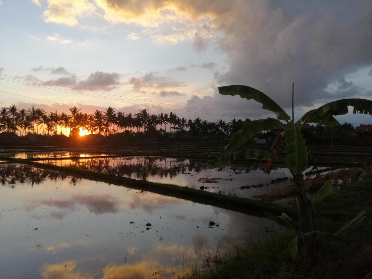 Villa Mon Reve Ubud  Bagian luar foto